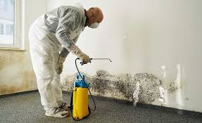  Tuttle, OK Mold Prevention & Removal Pros